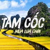HOA LƯ – TAM CỐC – BÁI ĐÍNH – TRÀNG AN
